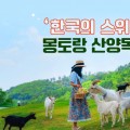 ‘한국의 스위스’ 몽토랑 산양목장