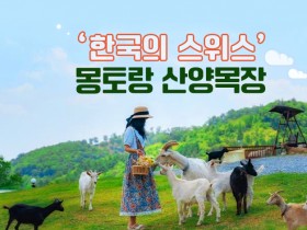 ‘한국의 스위스’ 몽토랑 산양목장