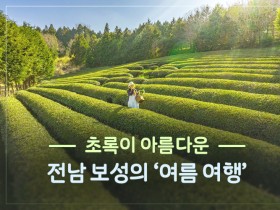 초록이 아름다운 전남 보성의 ‘여름 여행’