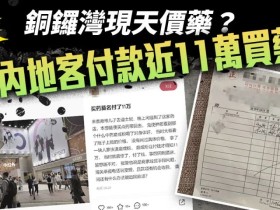 중국 내륙 여객, 홍콩에서 11만 홍콩달러의 한의약 구입해