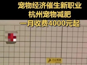 1:1서비스로 애완동물에게 다이어트시키는 월 비용이 4,000위안?