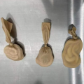 끔찍! 모 여성, 흉부에 5마리 비단뱀 숨겨 통관하려다 해관에 걸려
