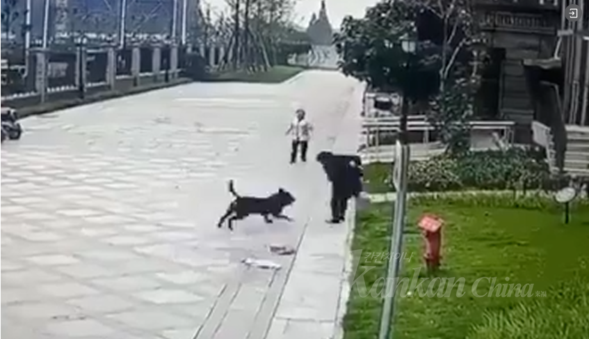 1697989926869.png