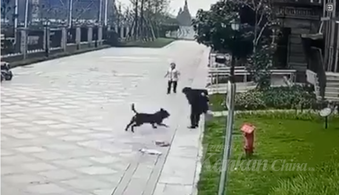 1697989926869.png
