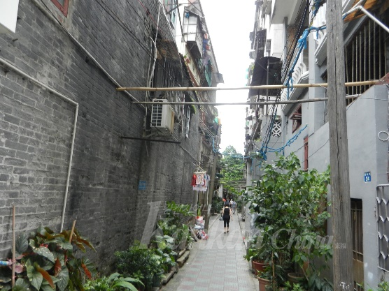 图片11.png