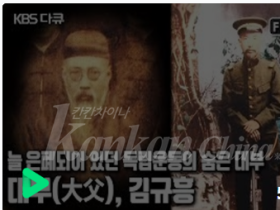 범재 김규흥, 3.1운동의 주역인가?  임시정부의 밀정인가?