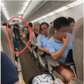 이륙 앞둔 中항공기서 '햄스터 추격전'…1시간 넘게 지연운항
