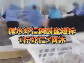 폐기물 기저귀, 가짜 항균속옷…中CCTV 불량상품 고발